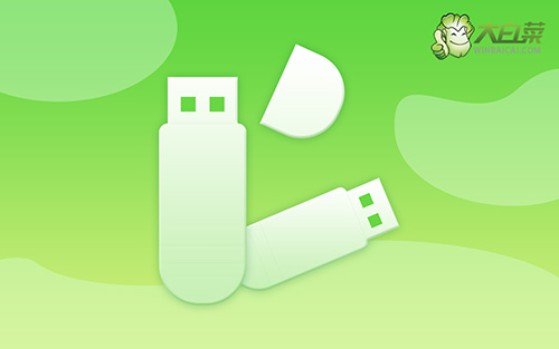 大白菜U盤重裝系統教程win10-大白菜U盤重裝系統win10