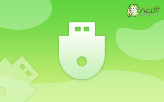 怎么U盤重裝系統圖示-U盤重裝系統步驟