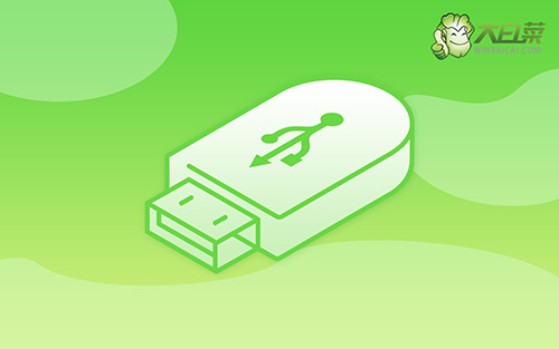 惠普U盤重裝系統win10-惠普筆記本U盤重裝系統win10